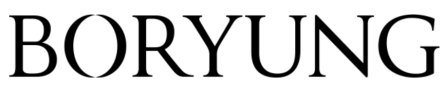 Boryung corporate identity